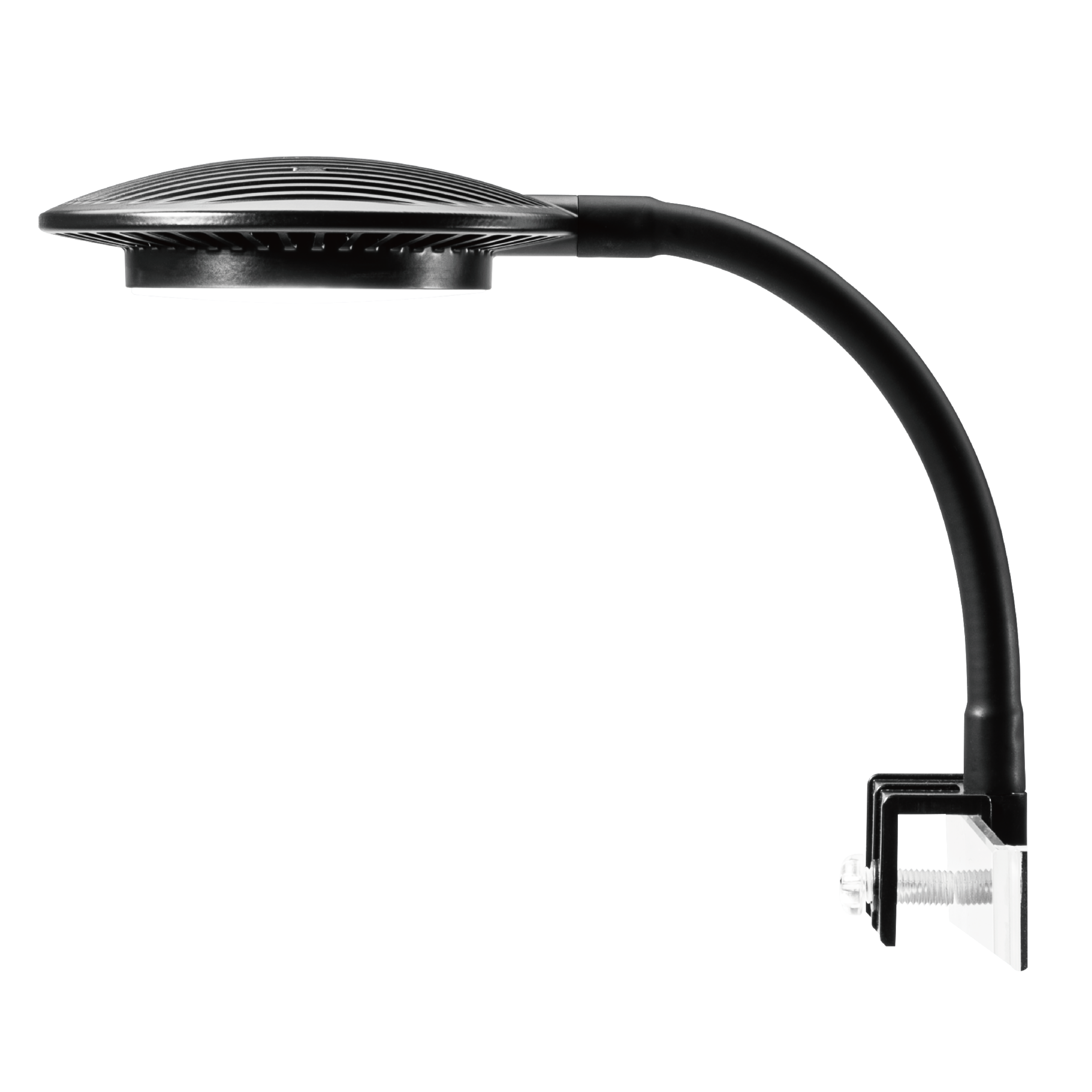 RayOn-24/36 Beam Light – Side View